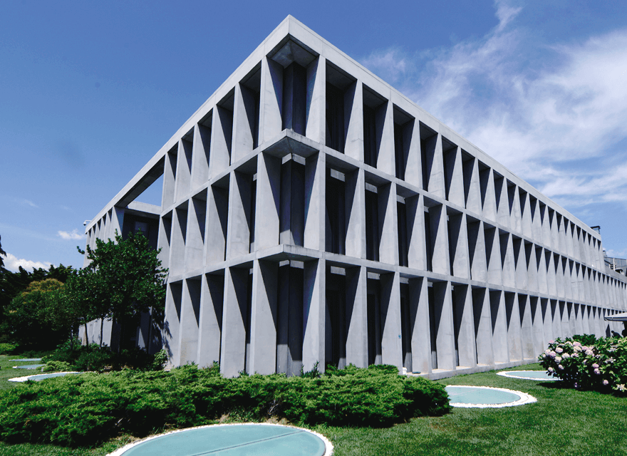 Milpa’dan Temettü Almak için Son Gün!