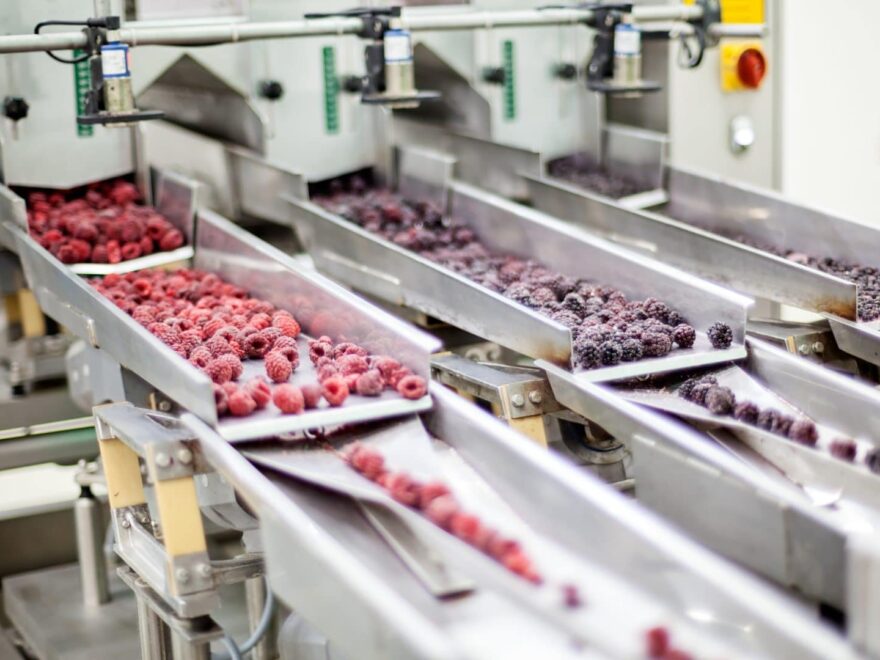 İhracat Oranı En Yüksek Gıda ve İçecek Hisseleri!