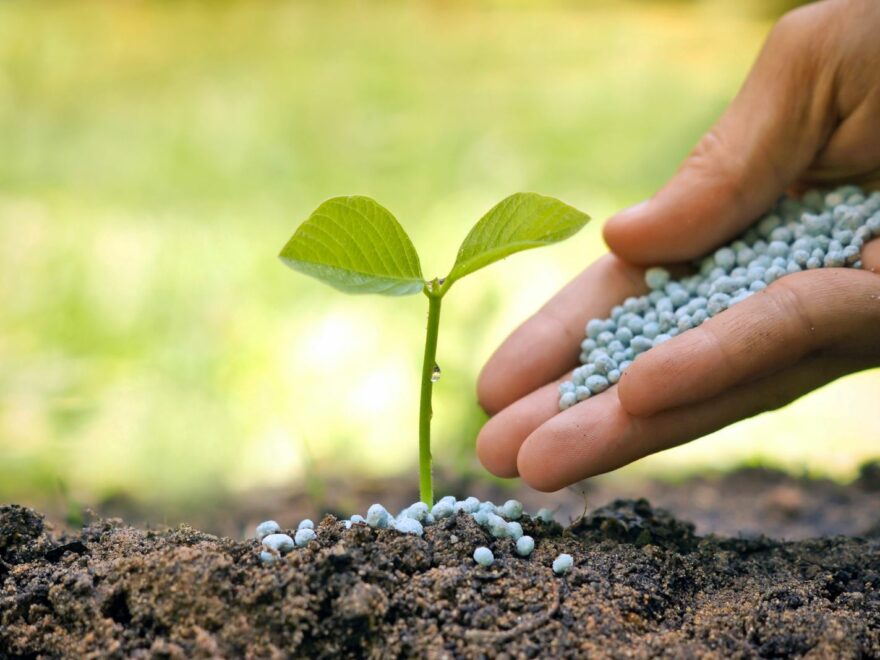 Ege Gübre'den Yeni Yatırım Adımı
