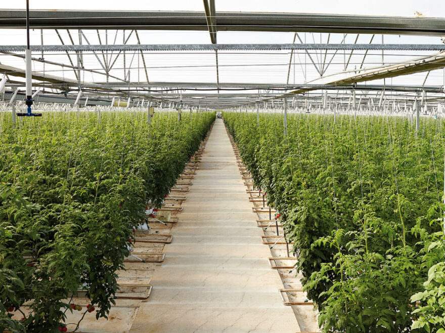 Alarko Holding, 1,78 Milyon Dolara Tarım Şirketi Satın Aldı