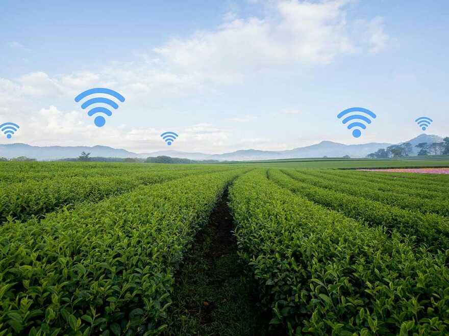 Obase Bilgisayar, Akıllı Tarım Projesi Başlatıyor