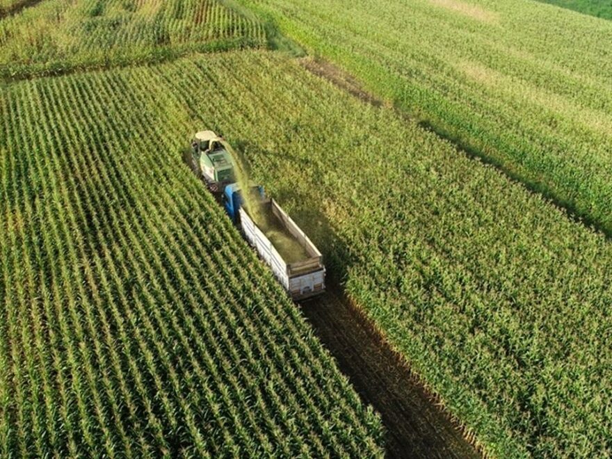 Günün Öne Çıkan Gelişmeleri: ALARK, ASTOR, AGROT, ARASE, BMSCH, KCAER ve KLSER