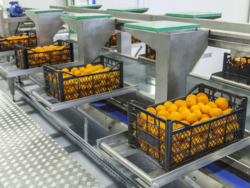 Günün Öne Çıkan Gelişmeleri: ALARK, BRISA, YESIL, EUPWR ve YEOTK