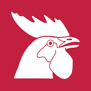 HOROZ LOJISTIK KARGO HIZMETLERI VE TICARET A.S. Logo