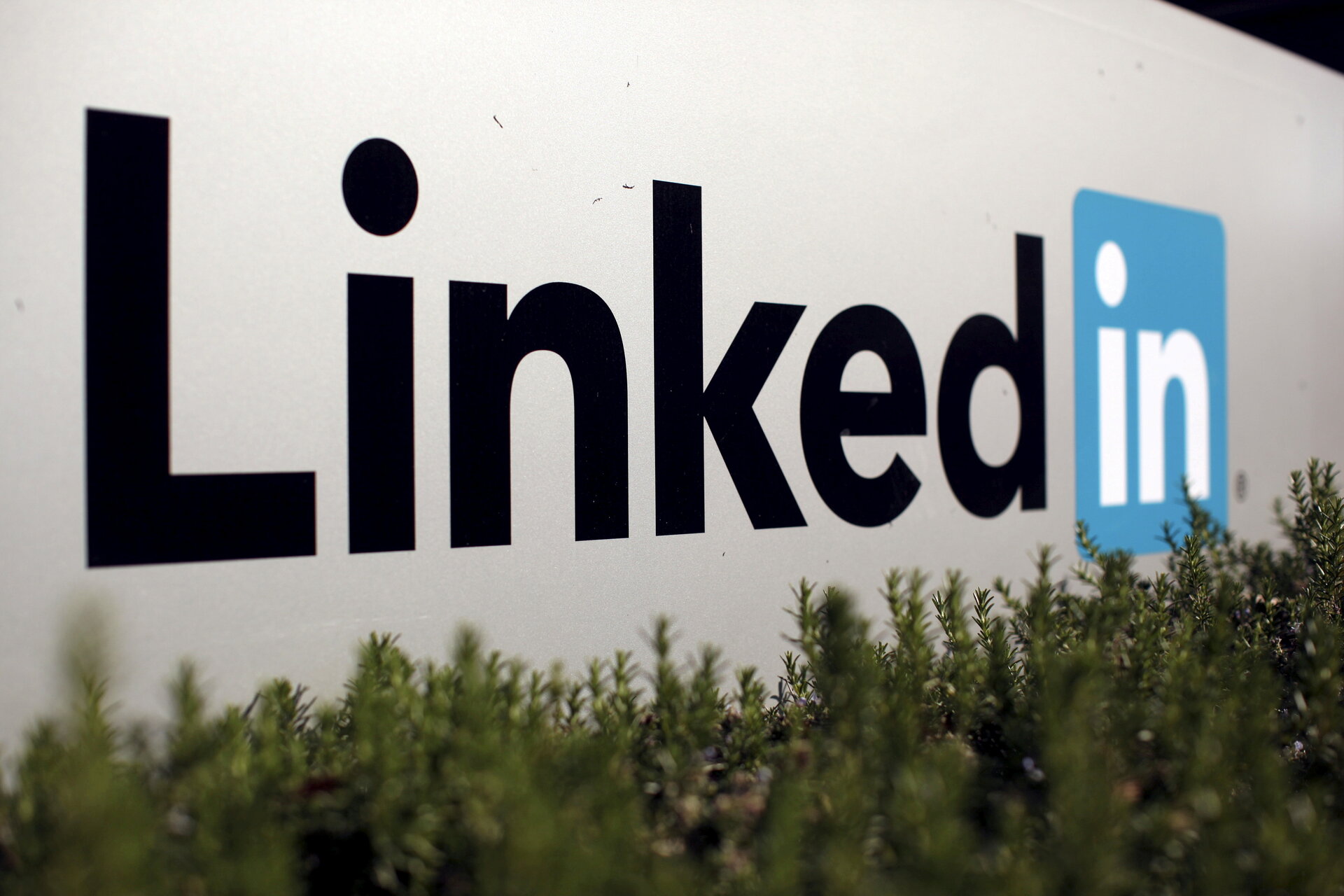 LinkedIn, Meta ve TikTok Rekabet için Yapay Zekâya Başvuruyor 