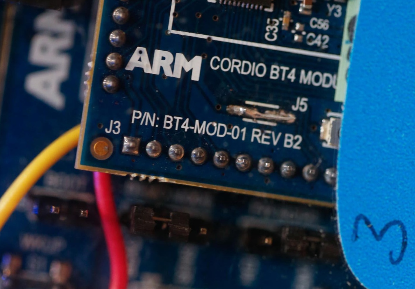 Arm Holdings Neden 10% Düşüyor?