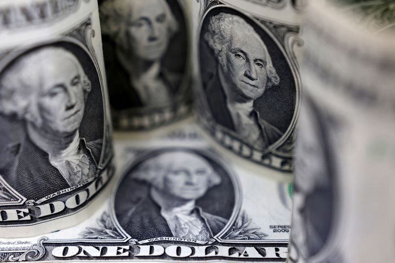 Dolar Rekora Doymuyor