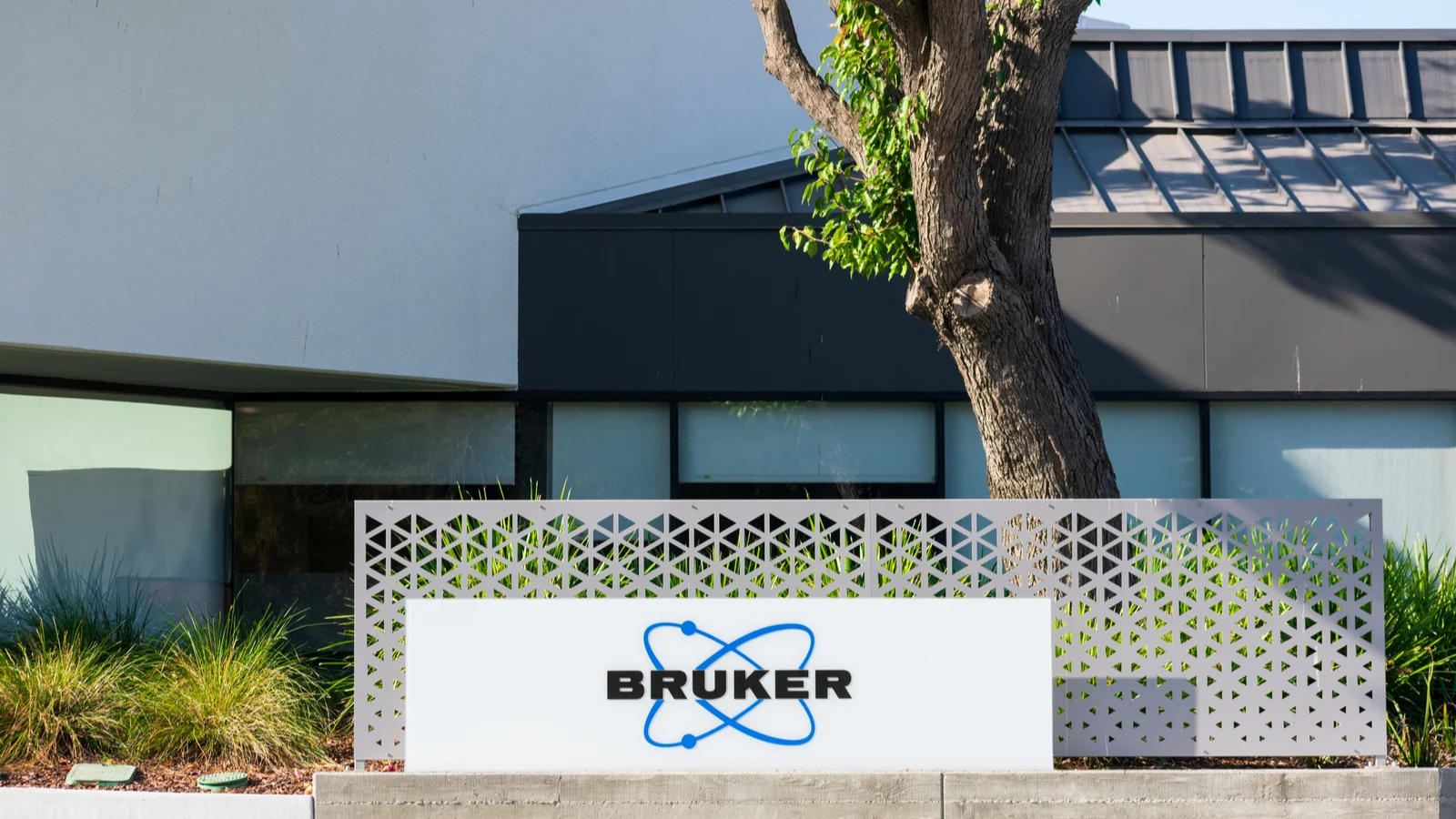 Bruker, Almanya merkezli Dynamic Biosensors’u satın aldı