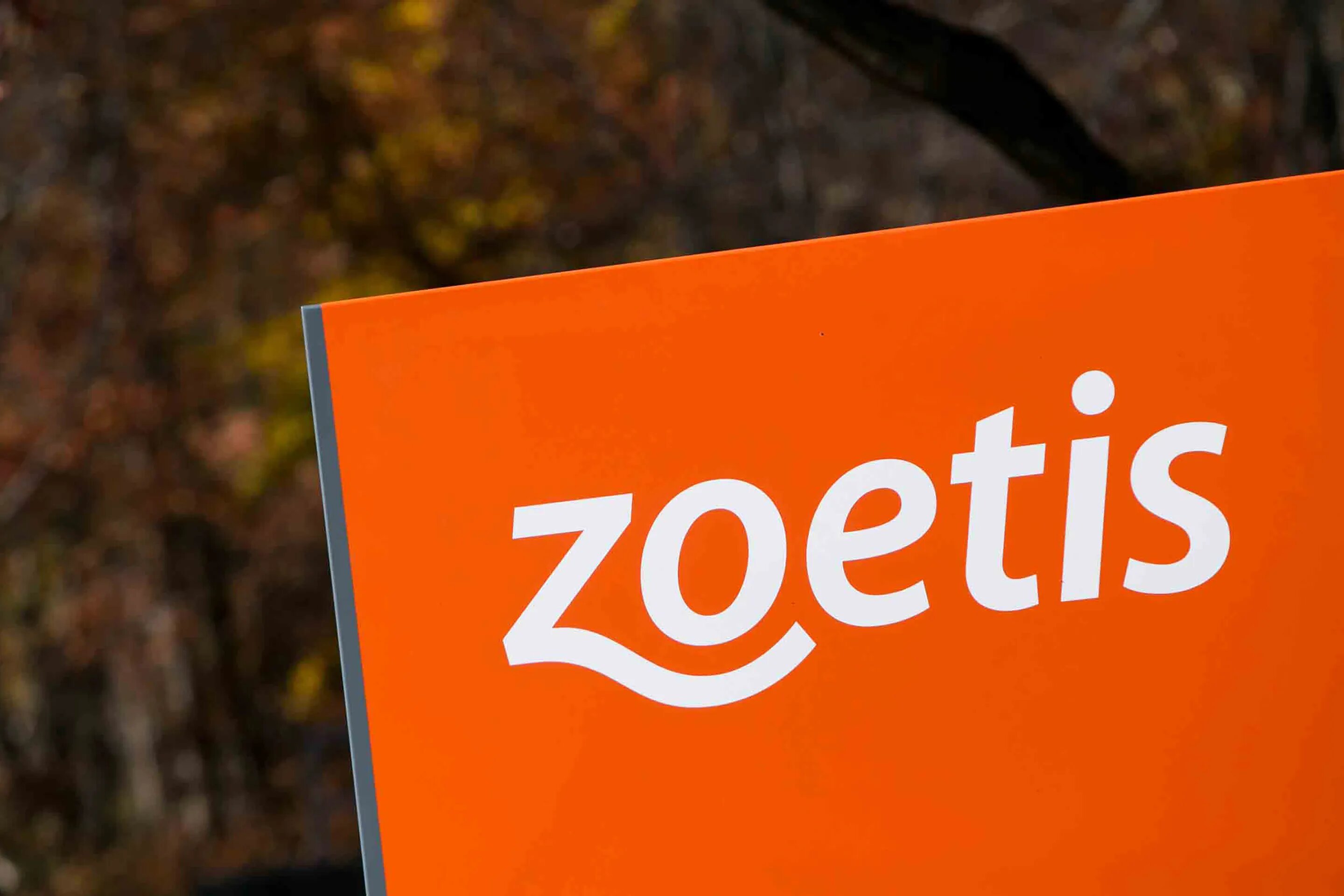 Zoetis, güçlü sonuçlarına rağmen ekside