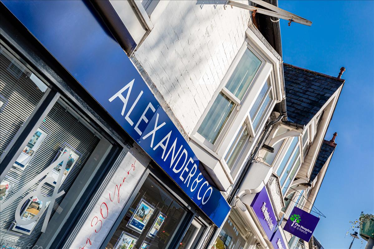 Alexander’s üçüncü çeyrekte beklentileri aştı