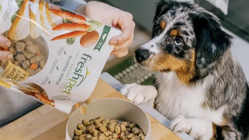 Freshpet’ten üçüncü çeyrekte güçlü sonuçlar