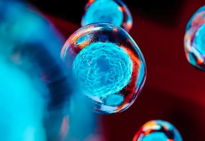 NewAmsterdam Pharma’dan göz kamaştıran büyüme