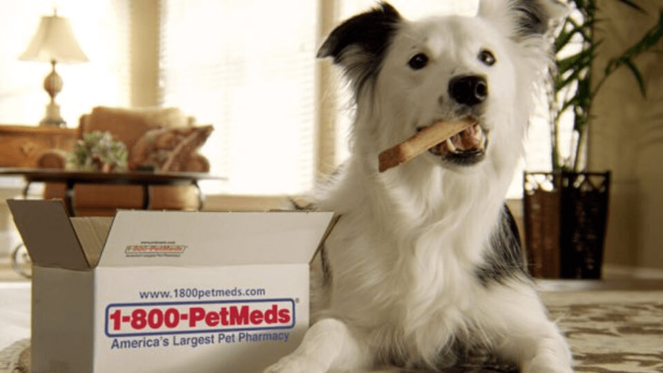 PetMed Express kârını 266% artırdı