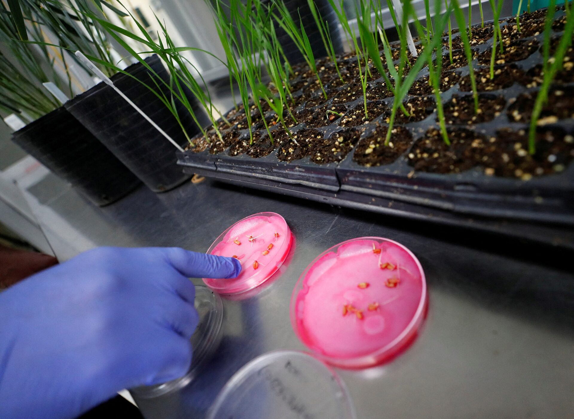 Bioceres Crop Solutions’ın gelirleri düştü, zararı arttı