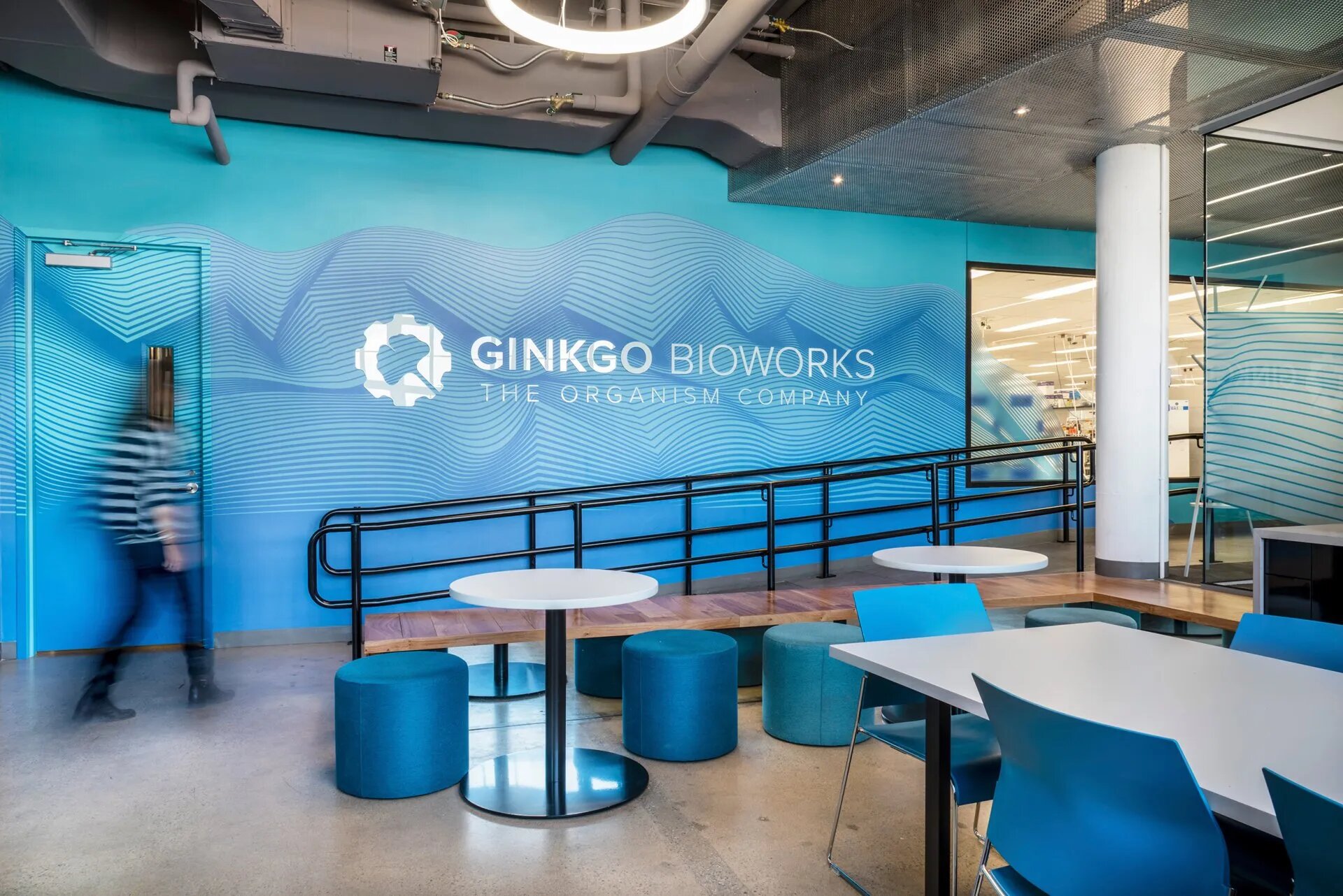 Ginkgo Bioworks’ün gelirleri 60% arttı
