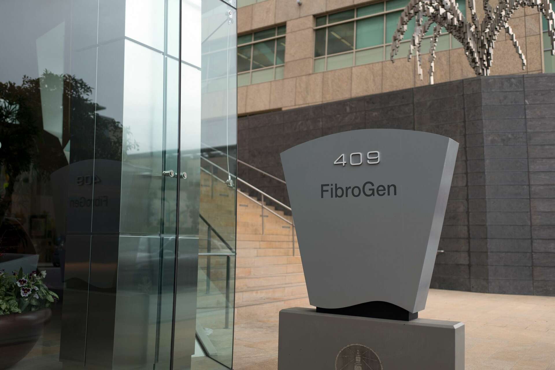 FibroGen ilk çeyrekte kâra geçti