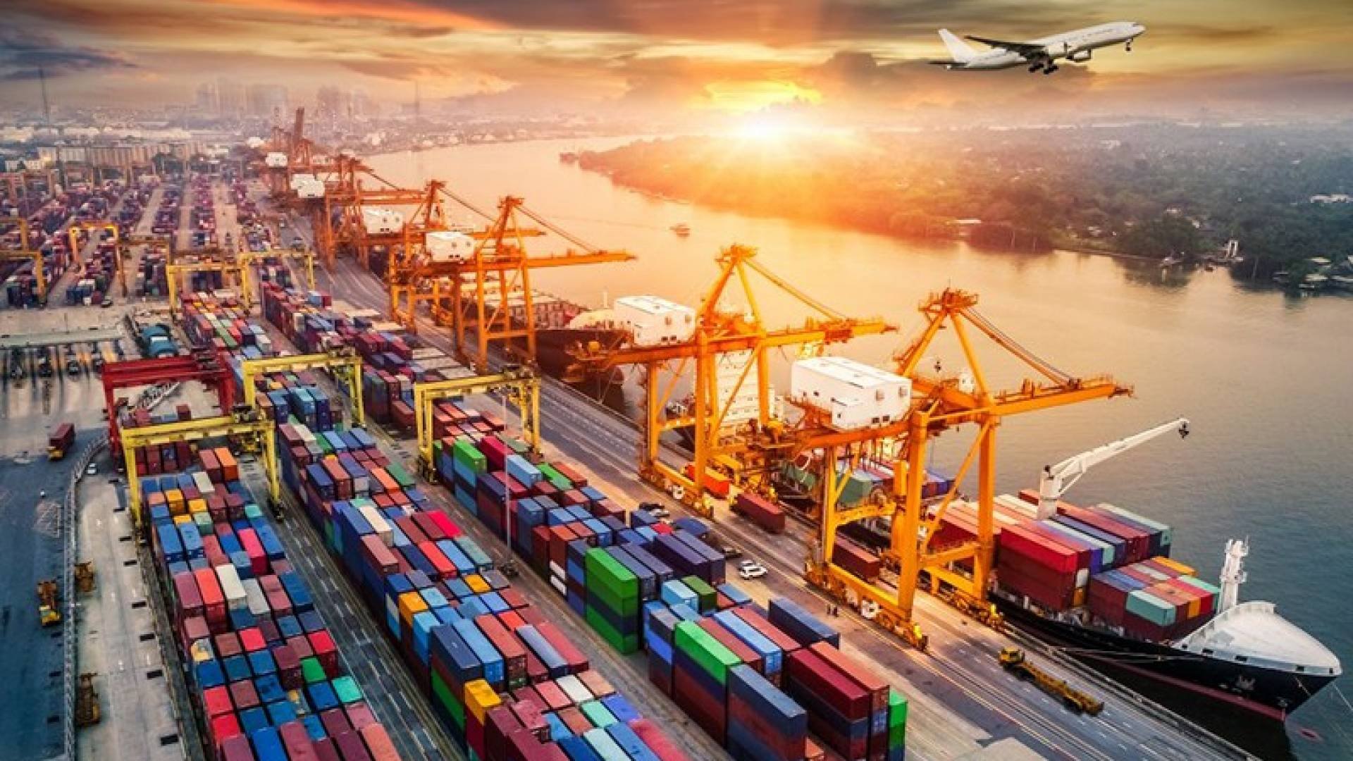 Cheetah Net Supply Chain’in sonuçları hayal kırıklığı yarattı