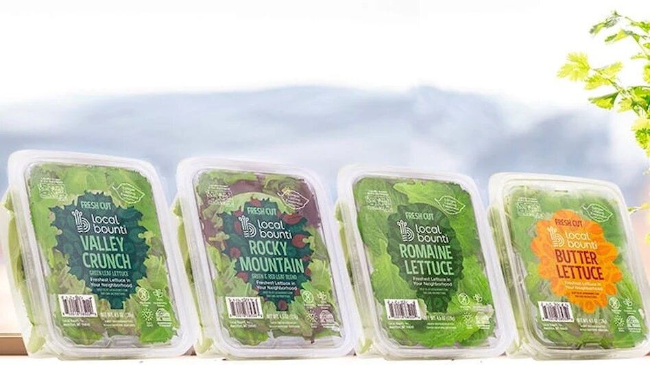 Local Bounti’nin zararı beklentilerin üzerinde geldi