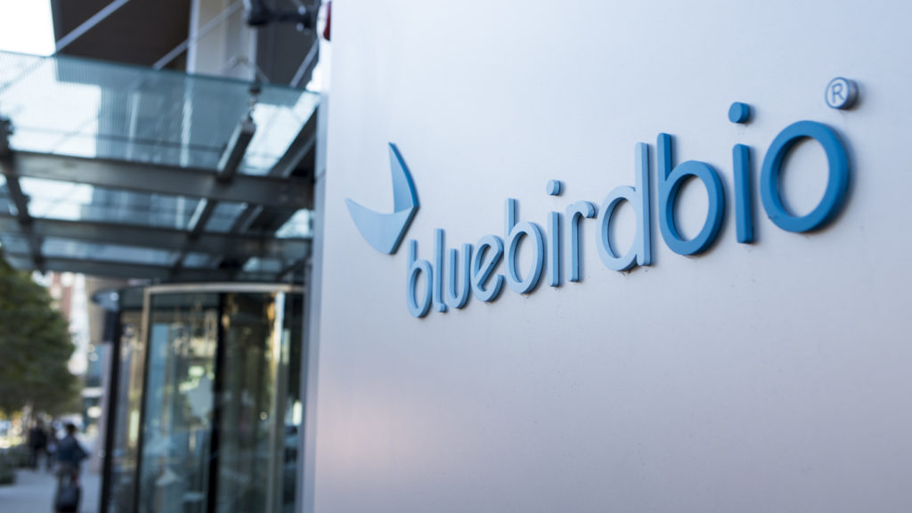 bluebird bio’nun zararı beklentilerin altında