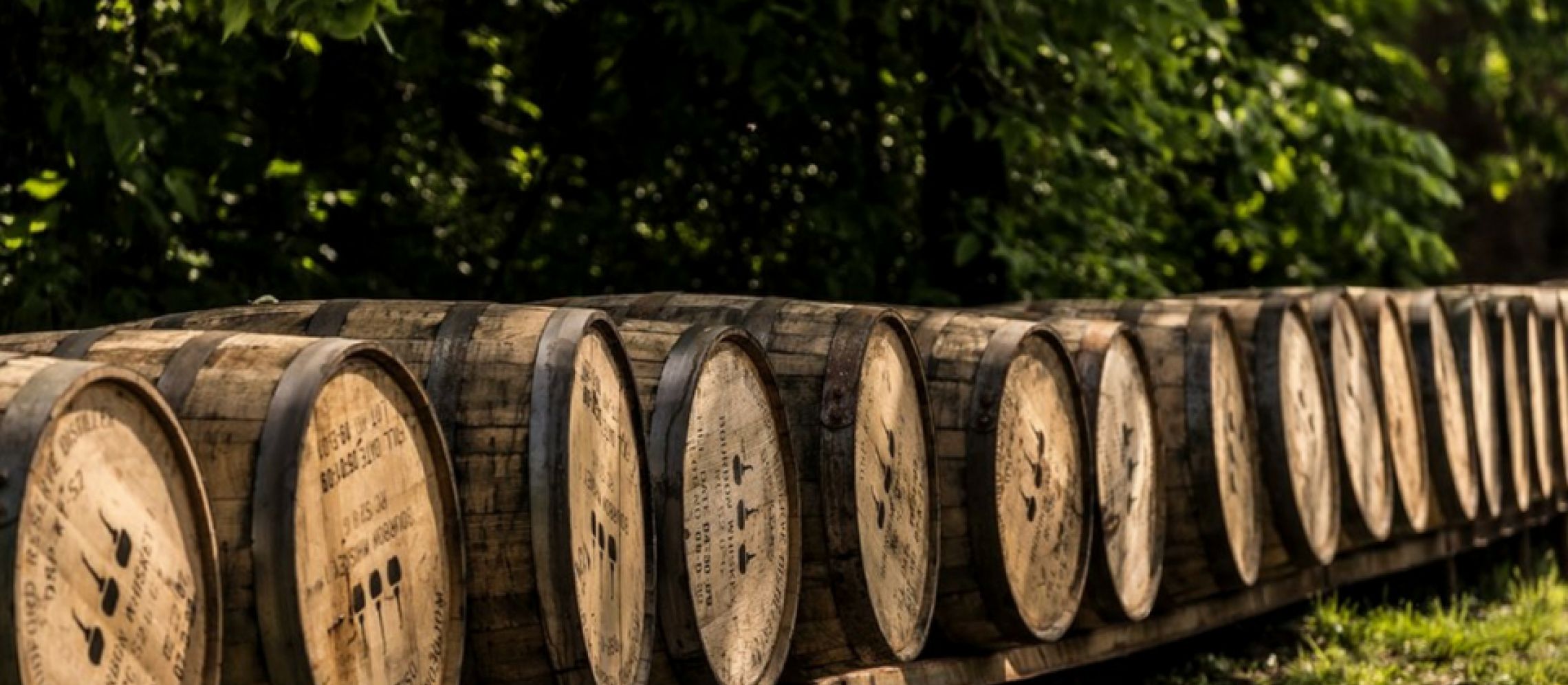Brown-Forman’ın kârı beklentileri aştı