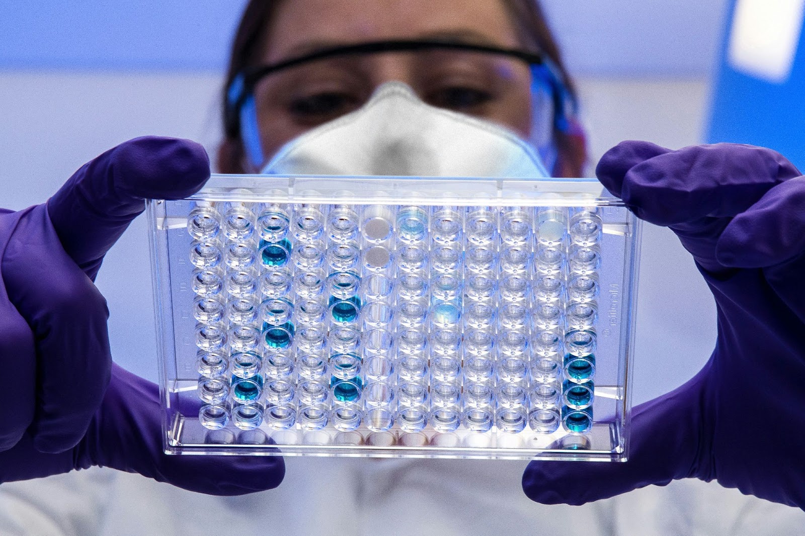 ImmunoPrecise’in zararı azaldı ancak gelirleri düştü
