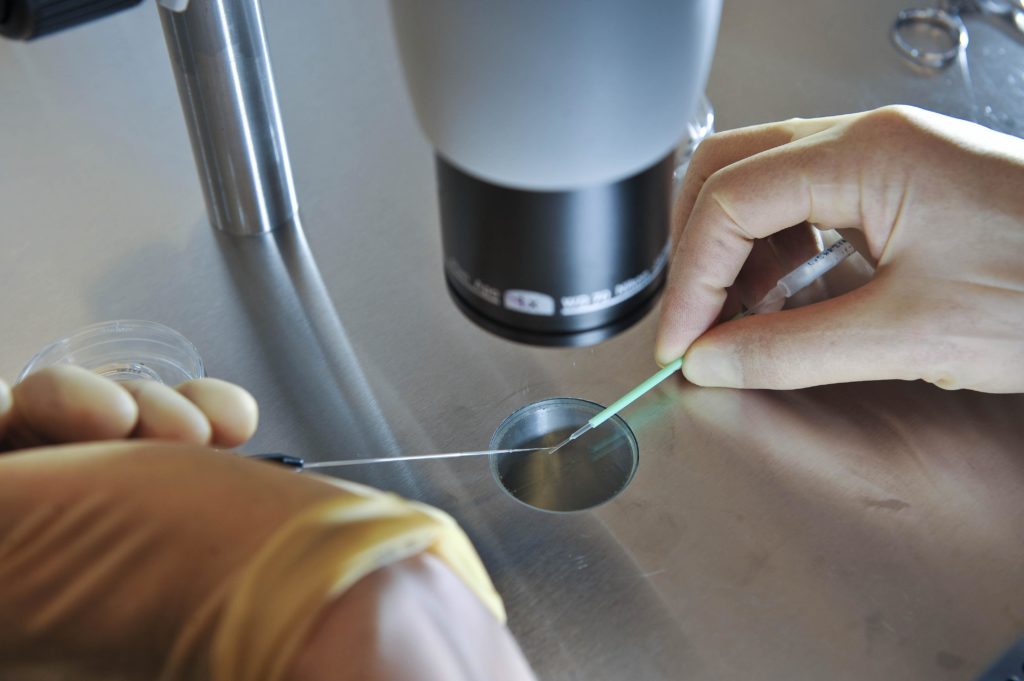 NewGenIvf Group’tan 452 milyon dolarlık birleşme