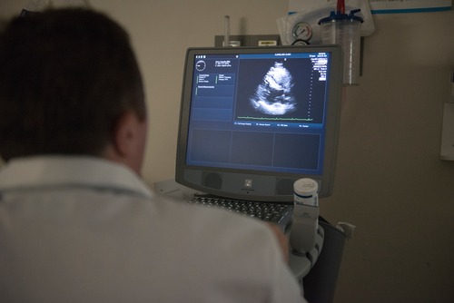 Heart Test Laboratories’ın zararı azaldı