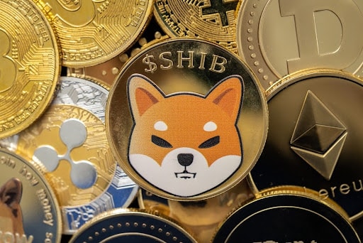 Shiba’da artan belirsizlik: Teknik göstergeler ne diyor?