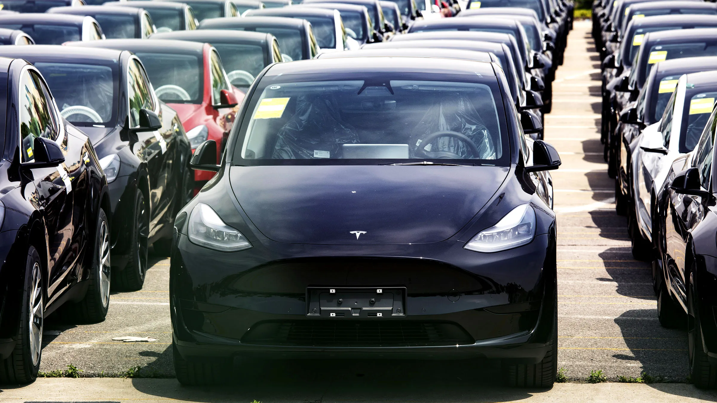 Tesla, robotaksi filosunu genişletmeyi planlıyor