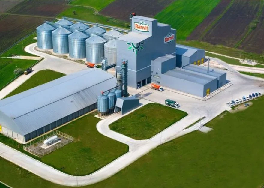 BANVT neden düşüyor