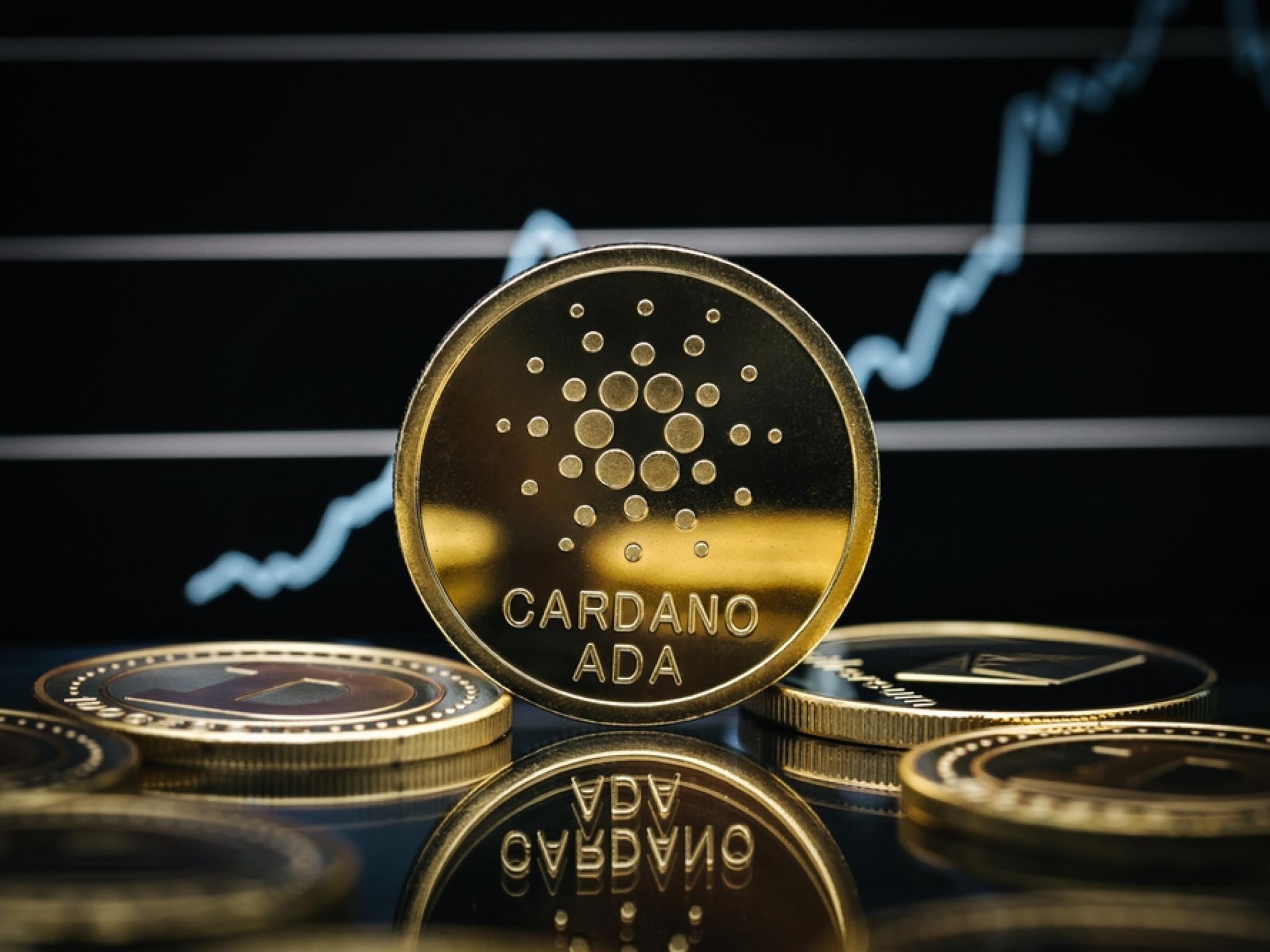 Balinalar Cardano’ya geri mi dönüyor?