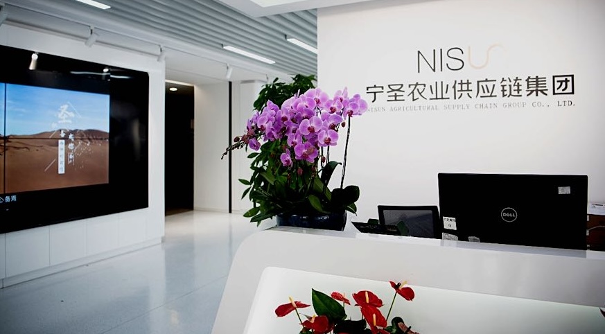 Nisun International 2024 finansal tahminlerini açıkladı