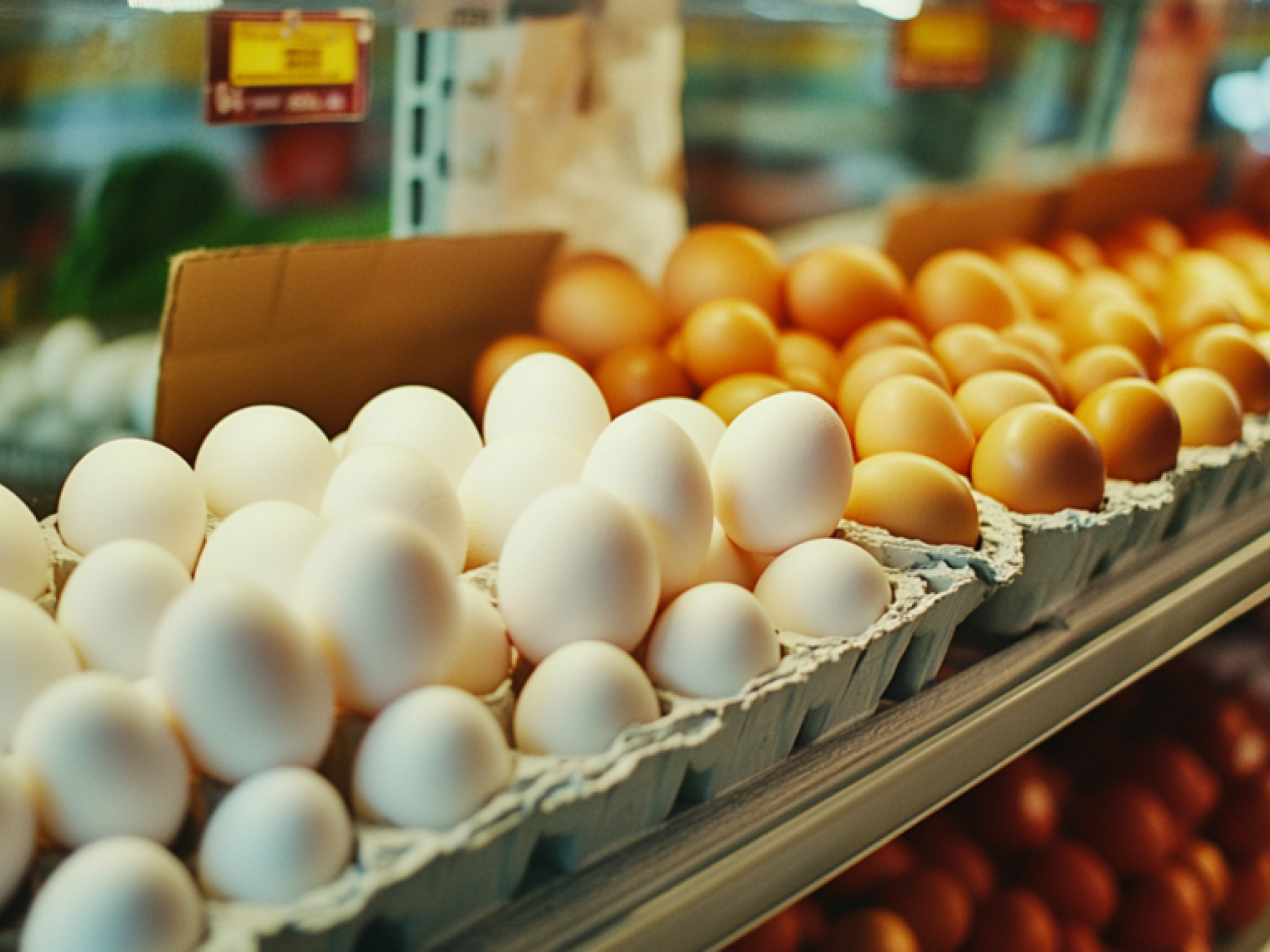 Vital Farms serbest dolaşımlı yumurtada lider