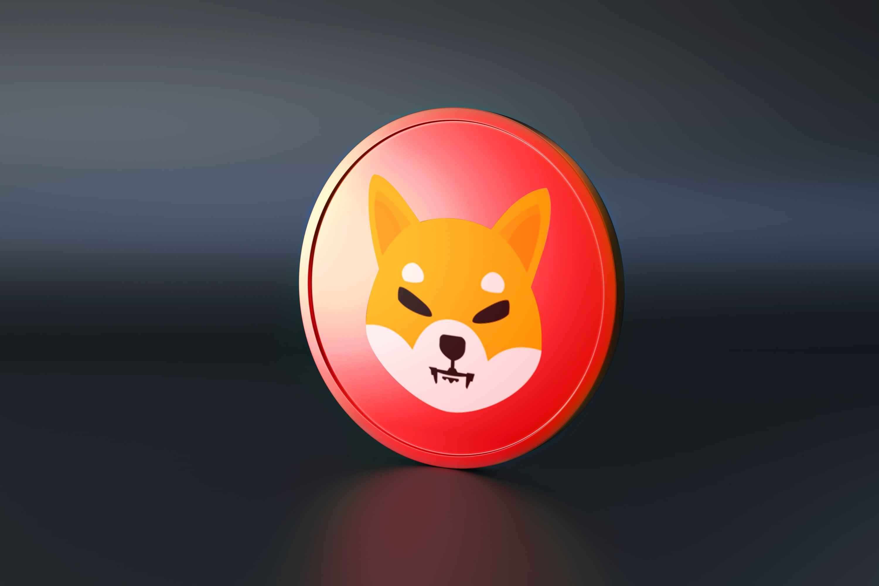 SHIB Coin Nedir? Shiba Inu Hakkında Her Şey