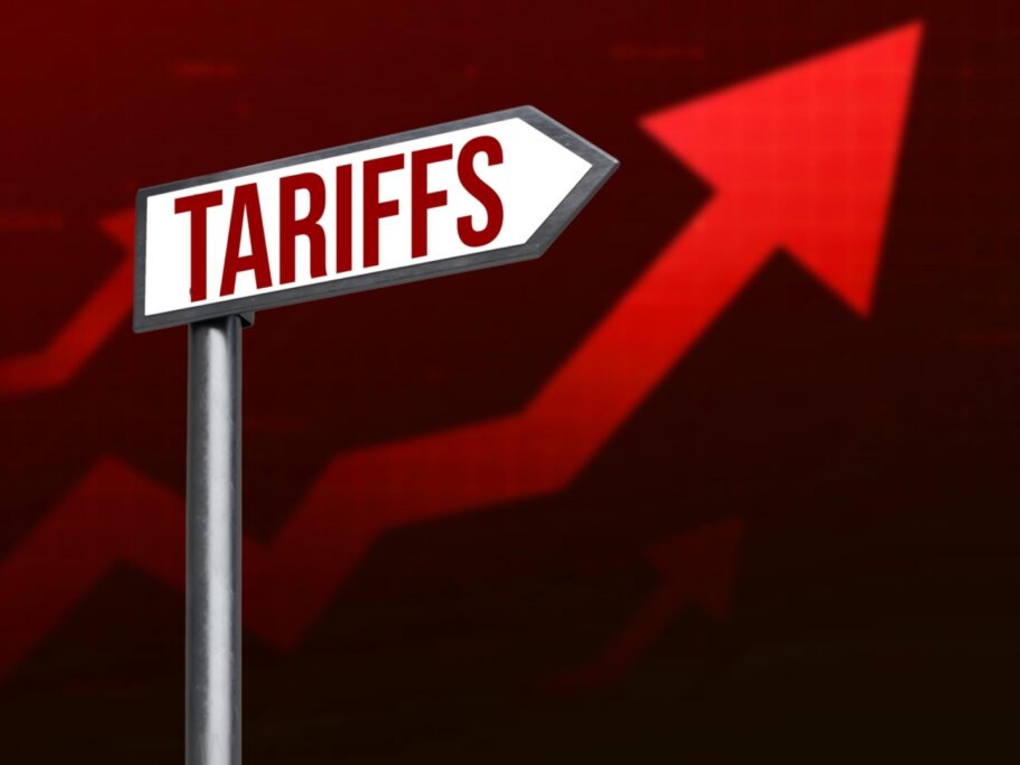 Rayonier’in 2024 net satışları 1,6 milyar dolar