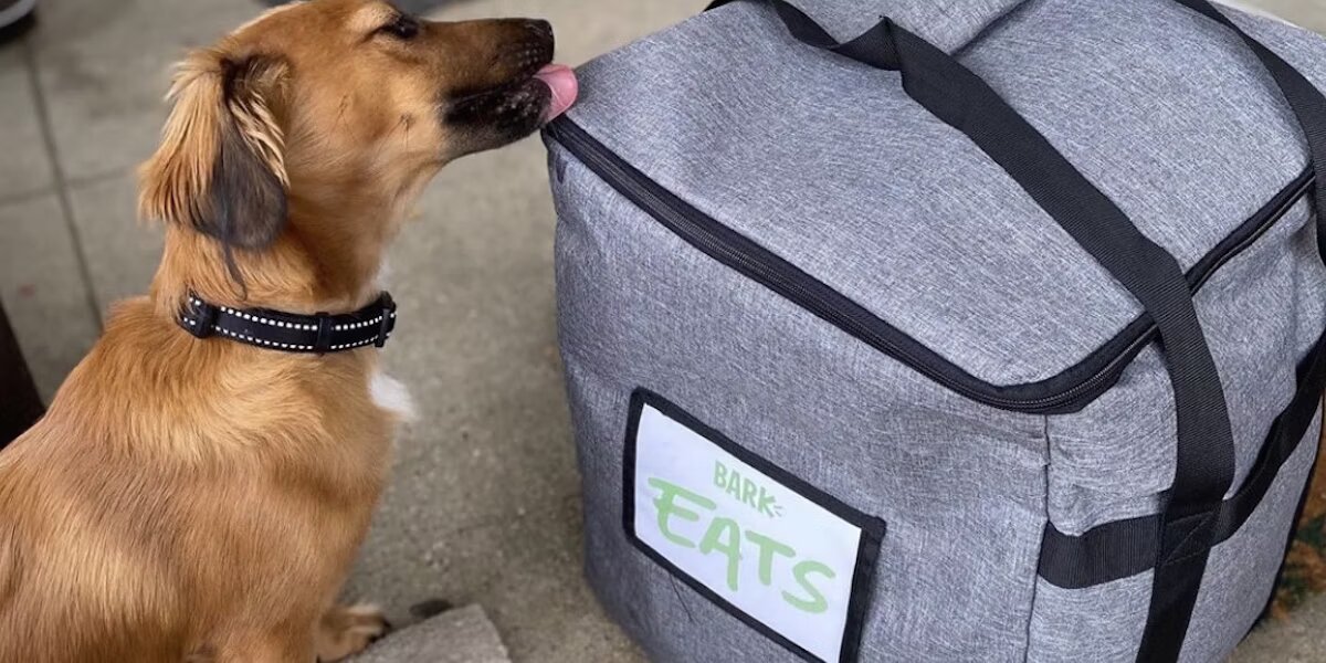 BARK, azalan zararına rağmen ekside