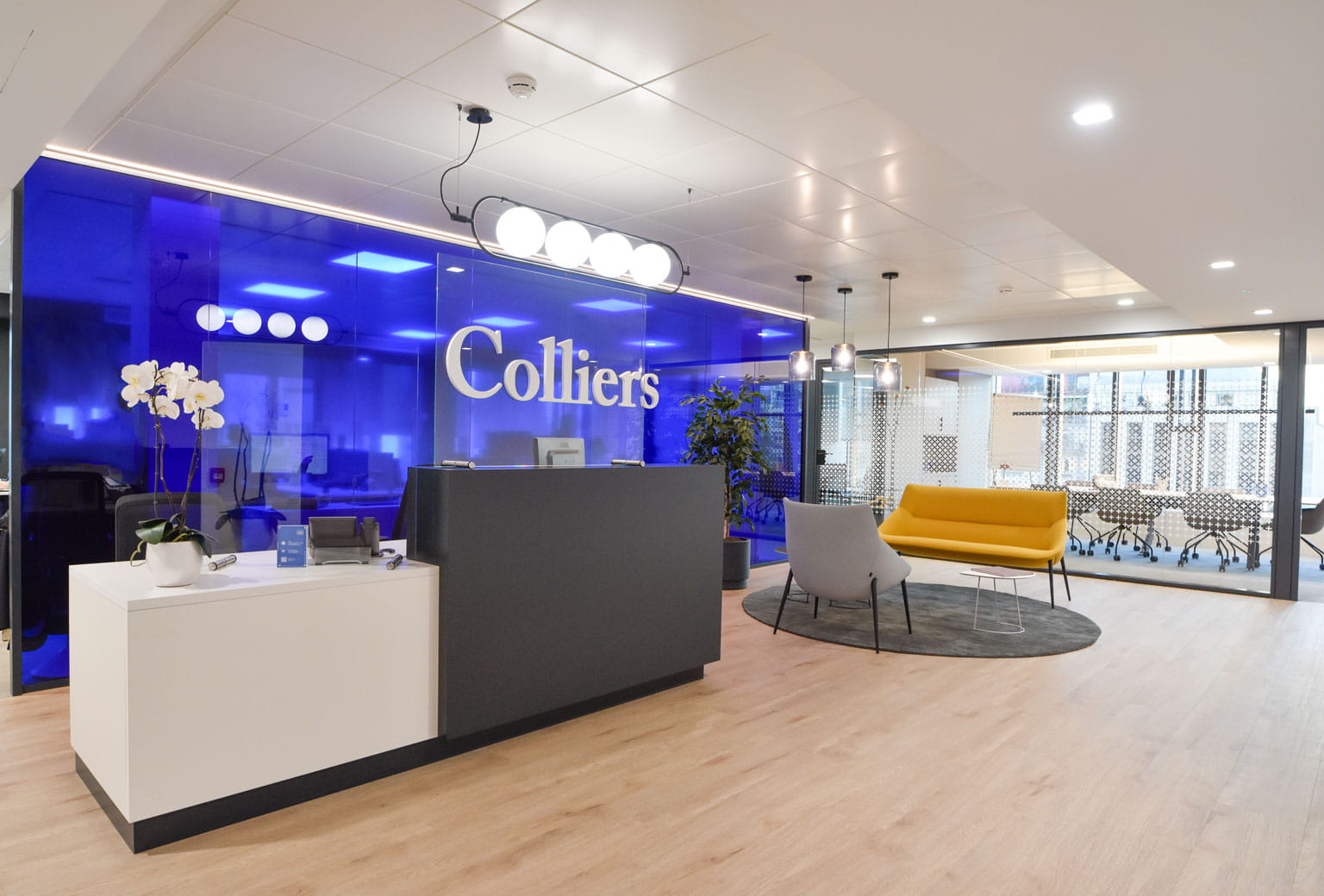 Colliers güçlü sonuçlarına rağmen ekside