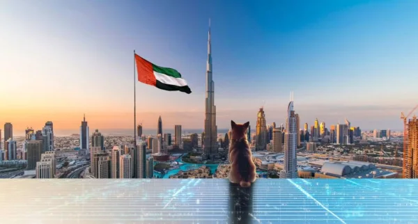 Birleşik Arap Emirlikleri’nden Shiba Inu ile blok zinciri ortaklığı