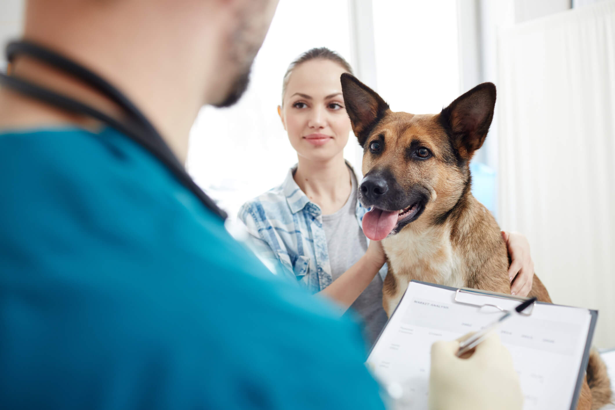 PetMed Express üçüncü çeyrekte zarar açıkladı