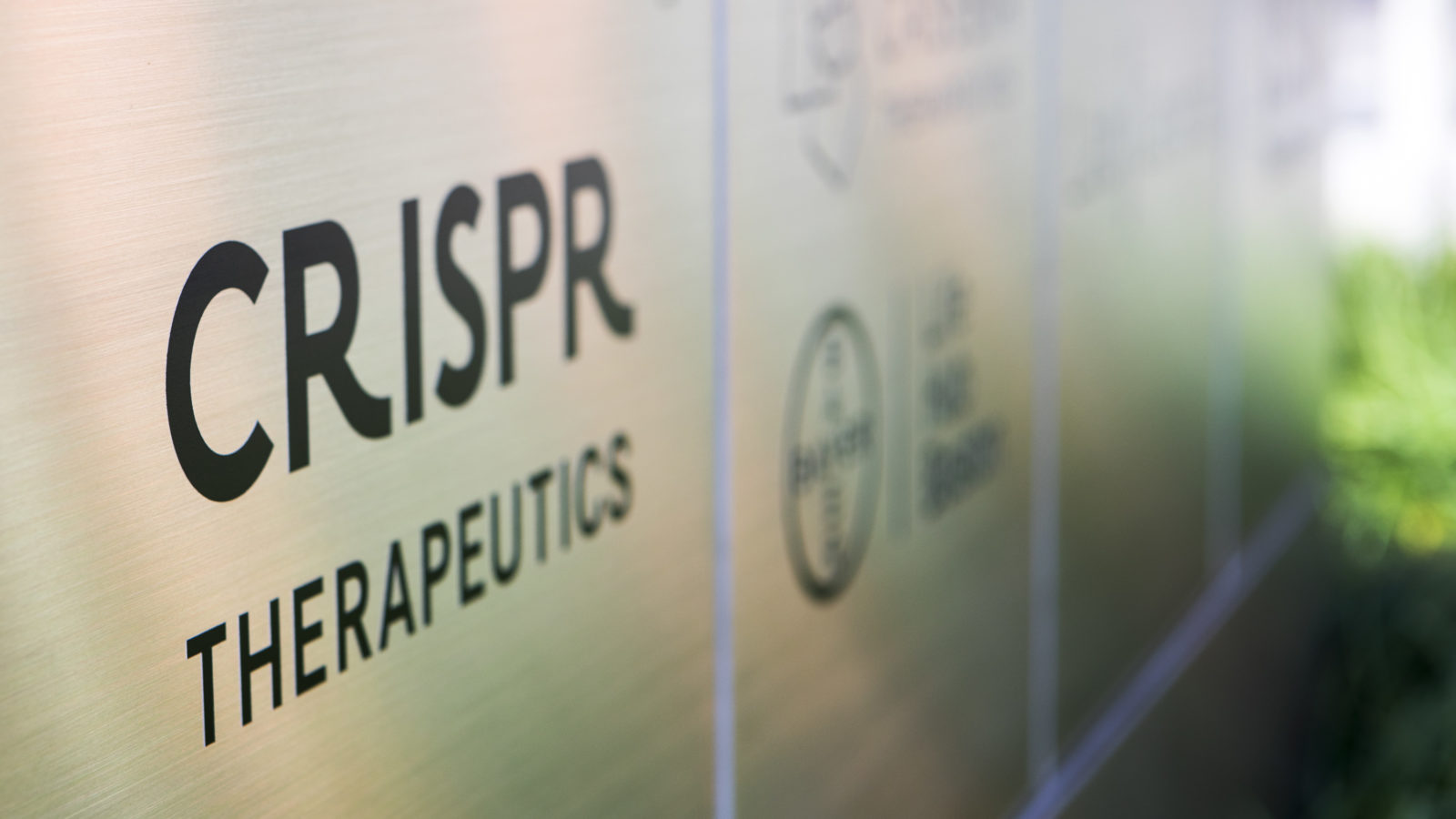 CRISPR Therapeutics’in zararı beklentilerin altında geldi