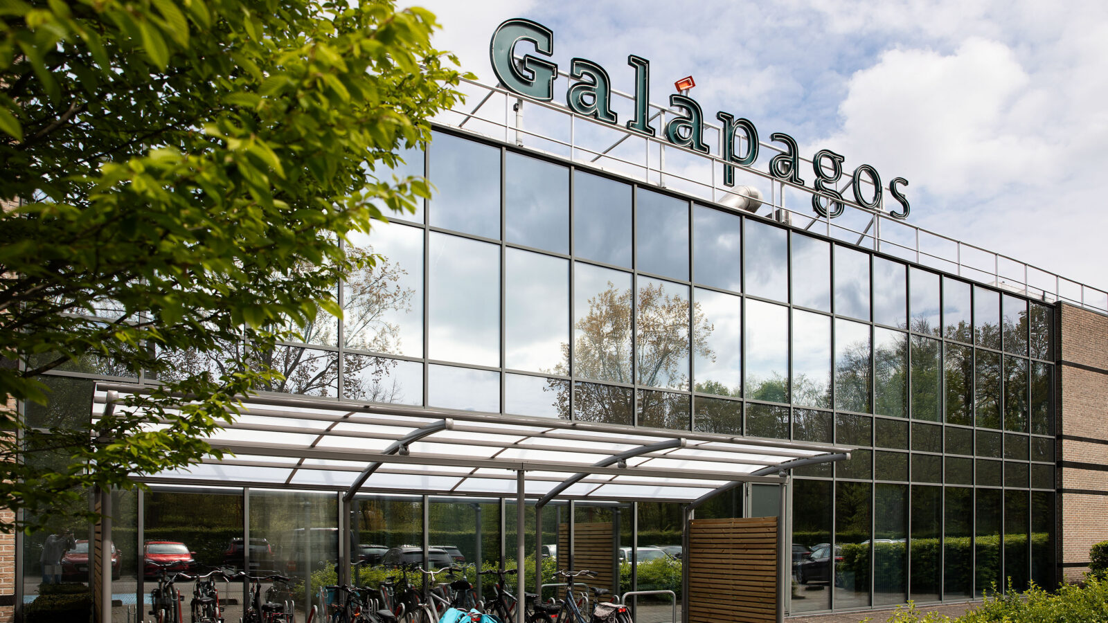 Galapagos’un üçüncü çeyrek kârı 88% düştü