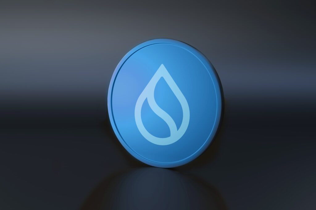 SUI Coin Nedir? SUI Hakkında Her Şey