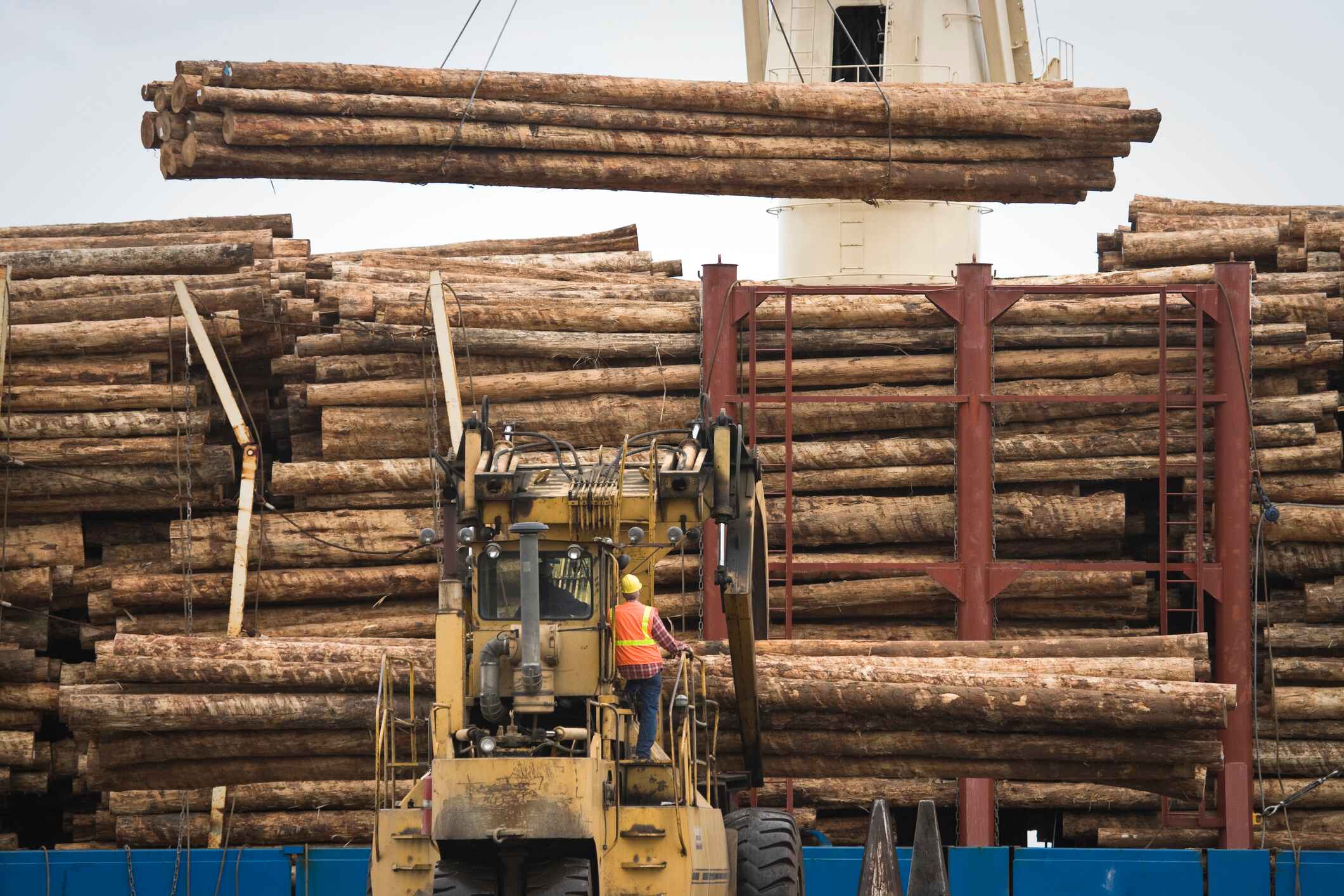 West Fraser Timber üçüncü çeyrekte kâra geçti