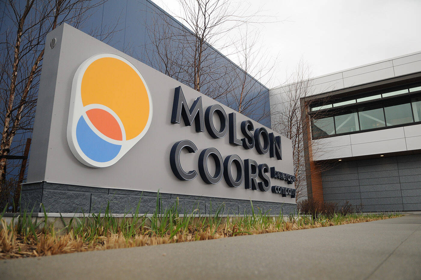 Molson Coors’un kârı beklentileri aştı