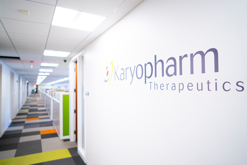 Karyopharm’ın gelirleri düştü