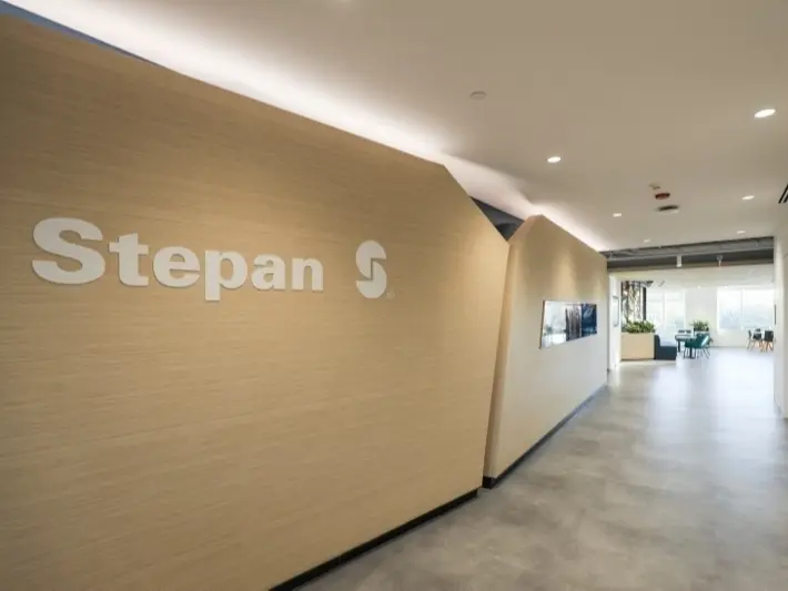 Stepan’ın kârı beklentilerin altında kaldı