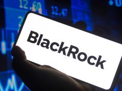 BlackRock ESG toplantılarını askıya aldı