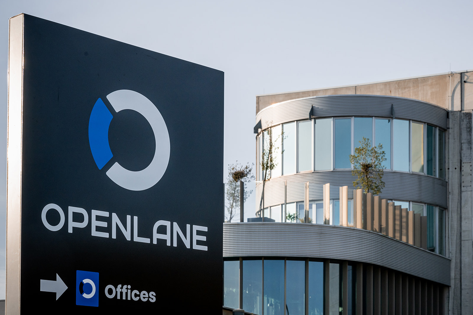 Openlane’in geliri ve kârı arttı