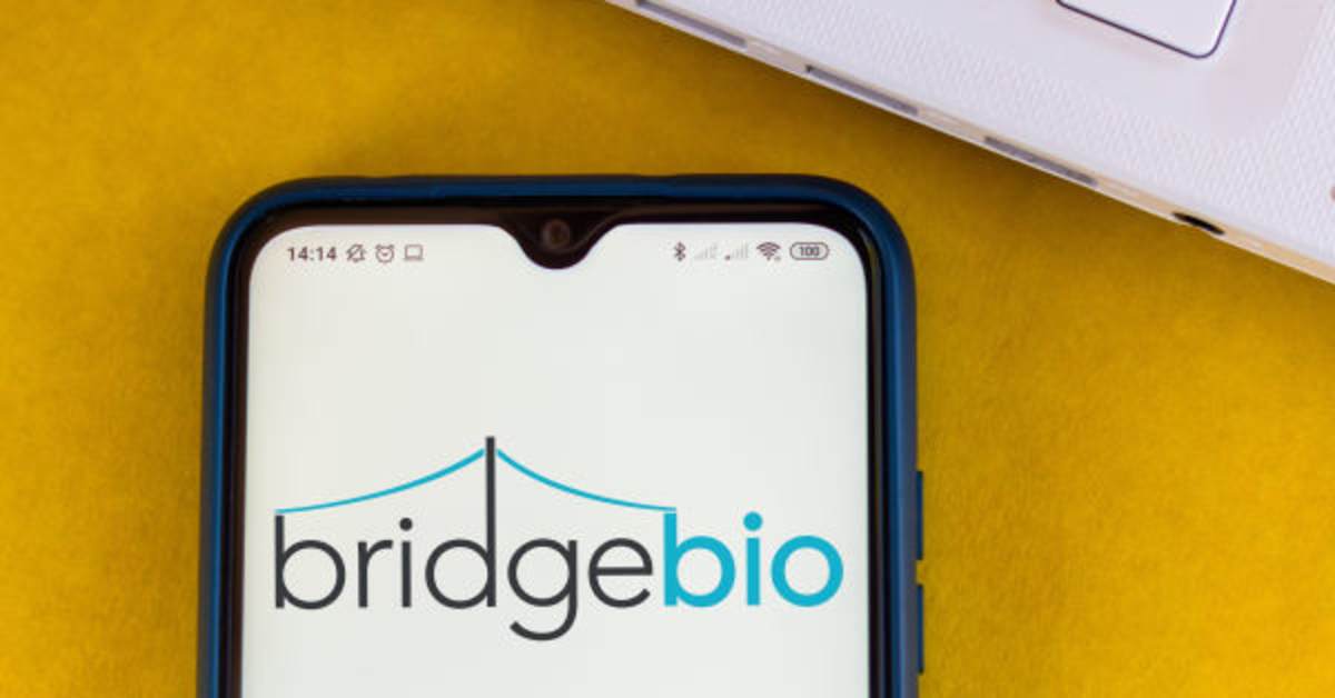 BridgeBio’nun gelirleri 237% arttı