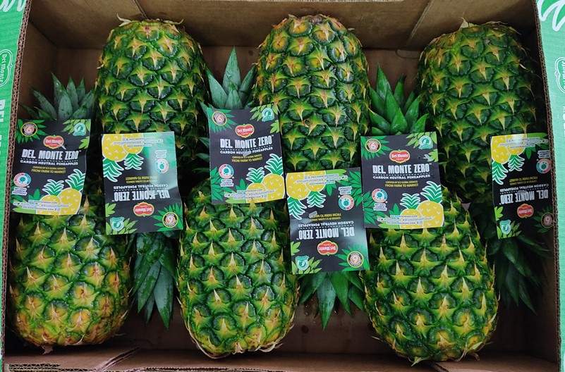 Fresh Del Monte’nin sonuçları beklentileri kaçırdı
